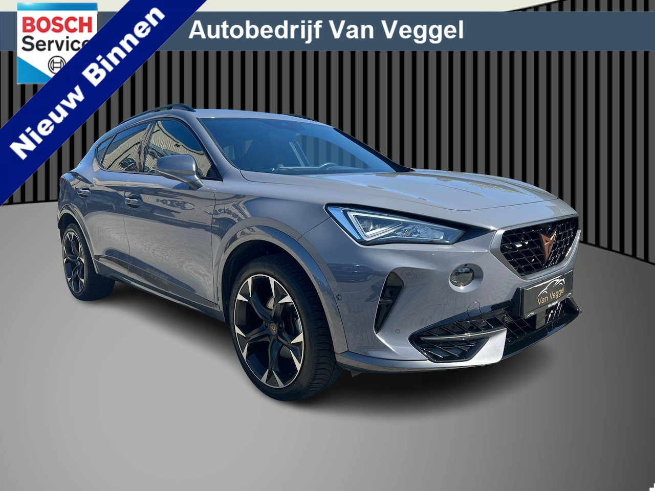CUPRA Formentor - 1.4 e-Hybrid Performance navi, cruise, stoel/stuur verw, memory - AutoWereld.nl