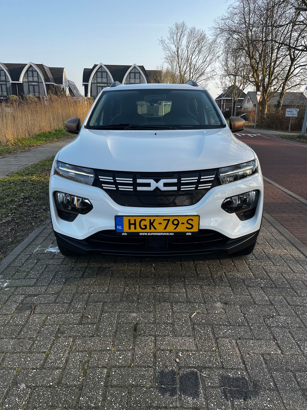 Dacia Spring - Extreme - AutoWereld.nl