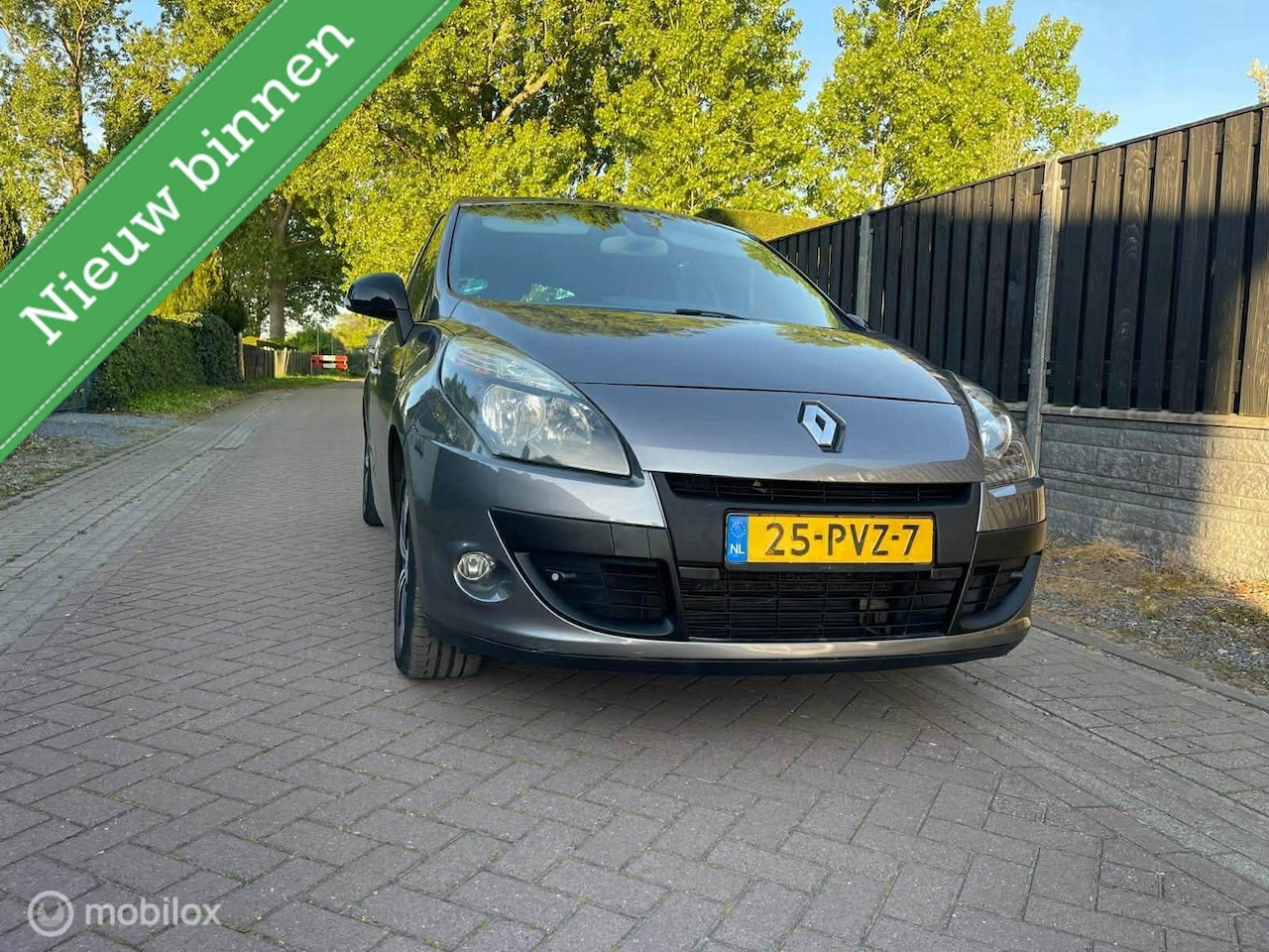 Renault Scénic - 2.0 BOSE 2.0 Bose - AutoWereld.nl