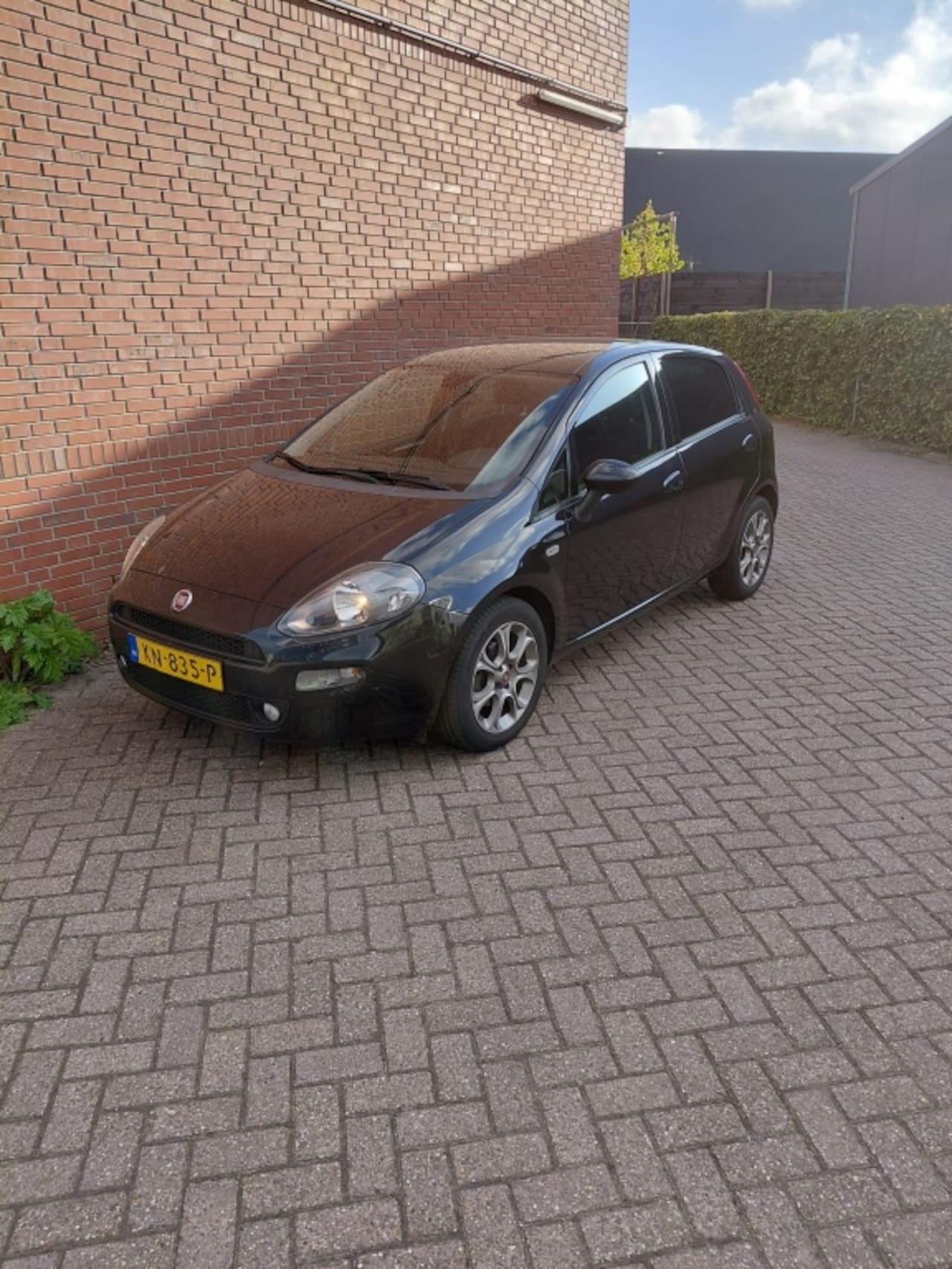 Fiat Punto Evo - 0.9 TwinAir Lounge 0.9 TwinAir Lounge - AutoWereld.nl