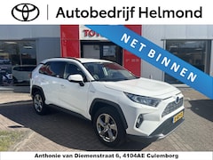 Toyota RAV4 - 2.5 Hybrid Business Plus