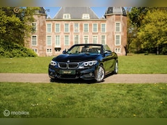 BMW 2-serie Cabrio - 220i | M sport | Stoelverw | Alcantara |