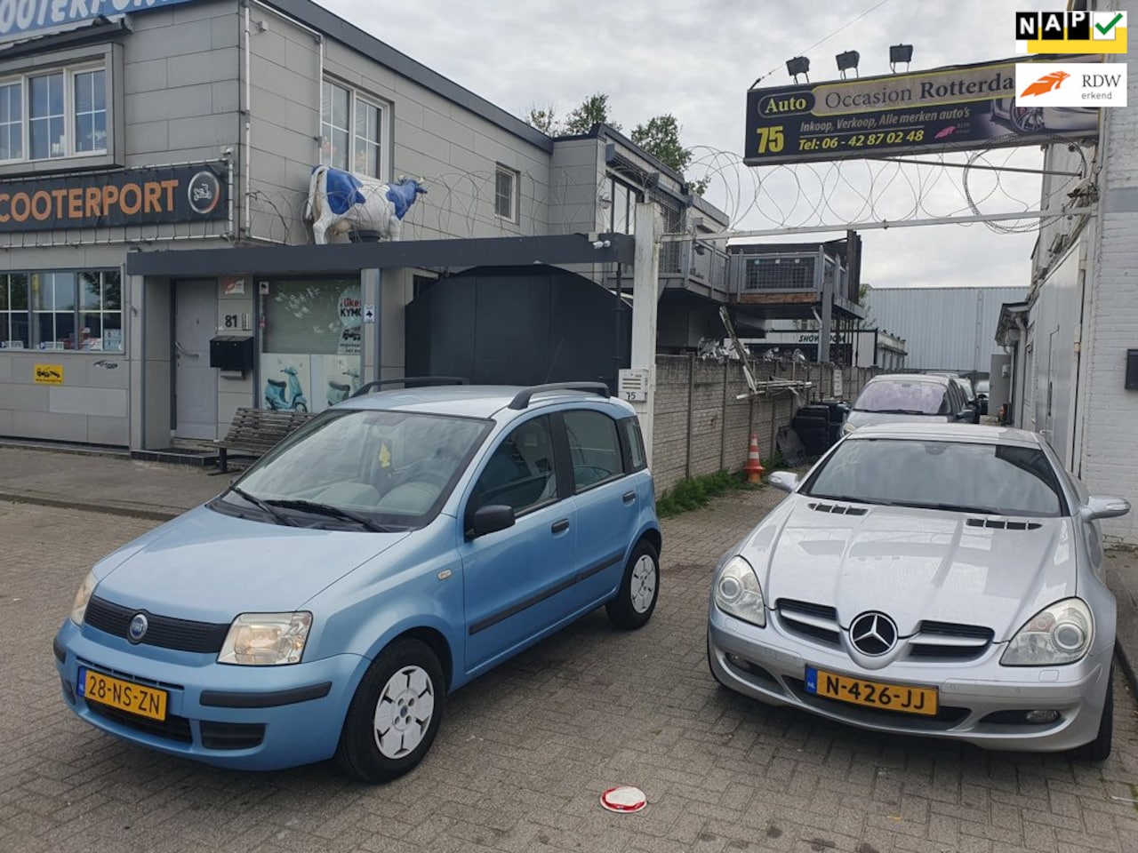 Fiat Panda - 1.1 Active Plus 1.1 Active Plus - AutoWereld.nl