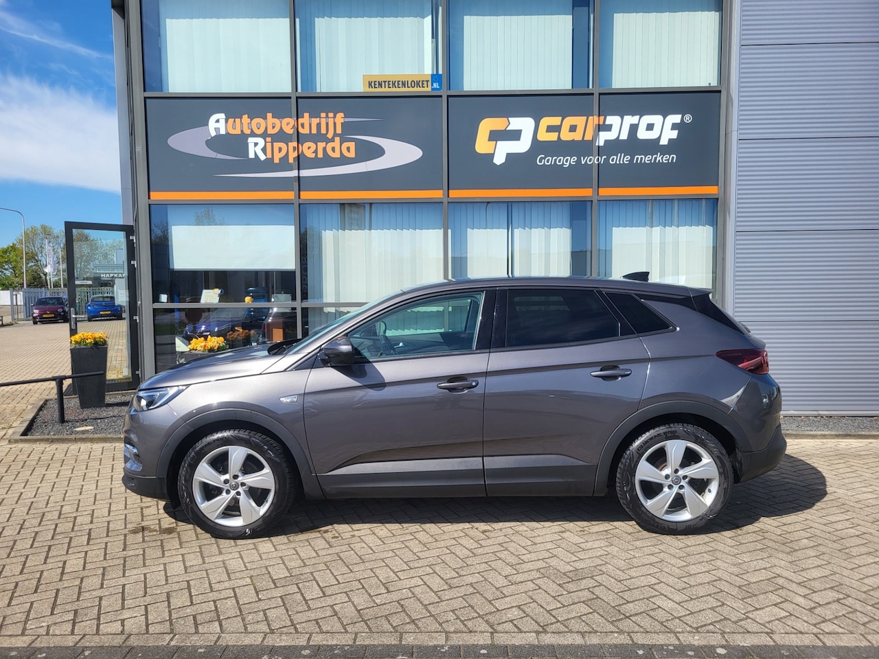 Opel Grandland X - 1.2 Turbo Business Executive 1.2 Turbo Business Executive - AutoWereld.nl