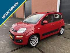 Fiat Panda - 1.2 Edizione Cool