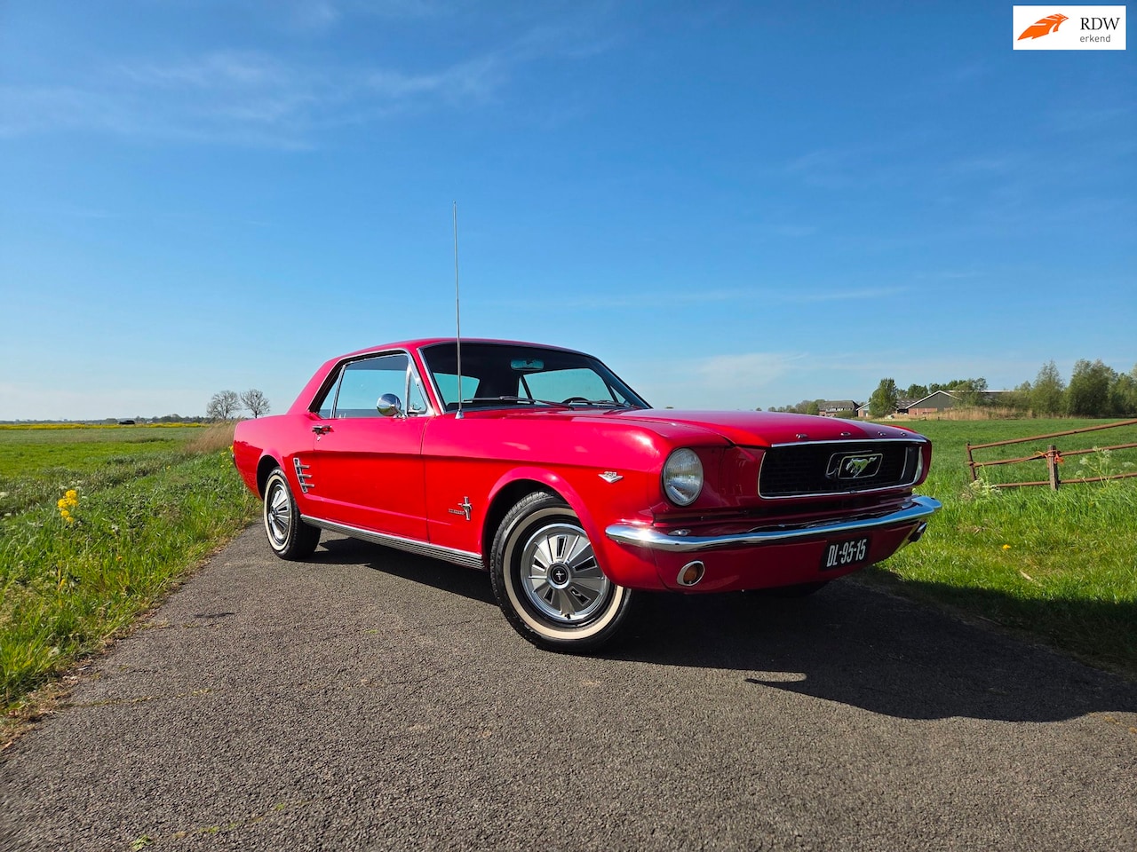 Ford Mustang - 289 HARDTOP | ZEER NETJES | - AutoWereld.nl