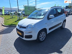 Fiat Panda - 0.9 TwinAir CNG Edizione Cool / 92.401 km NAP / APK juni 2027