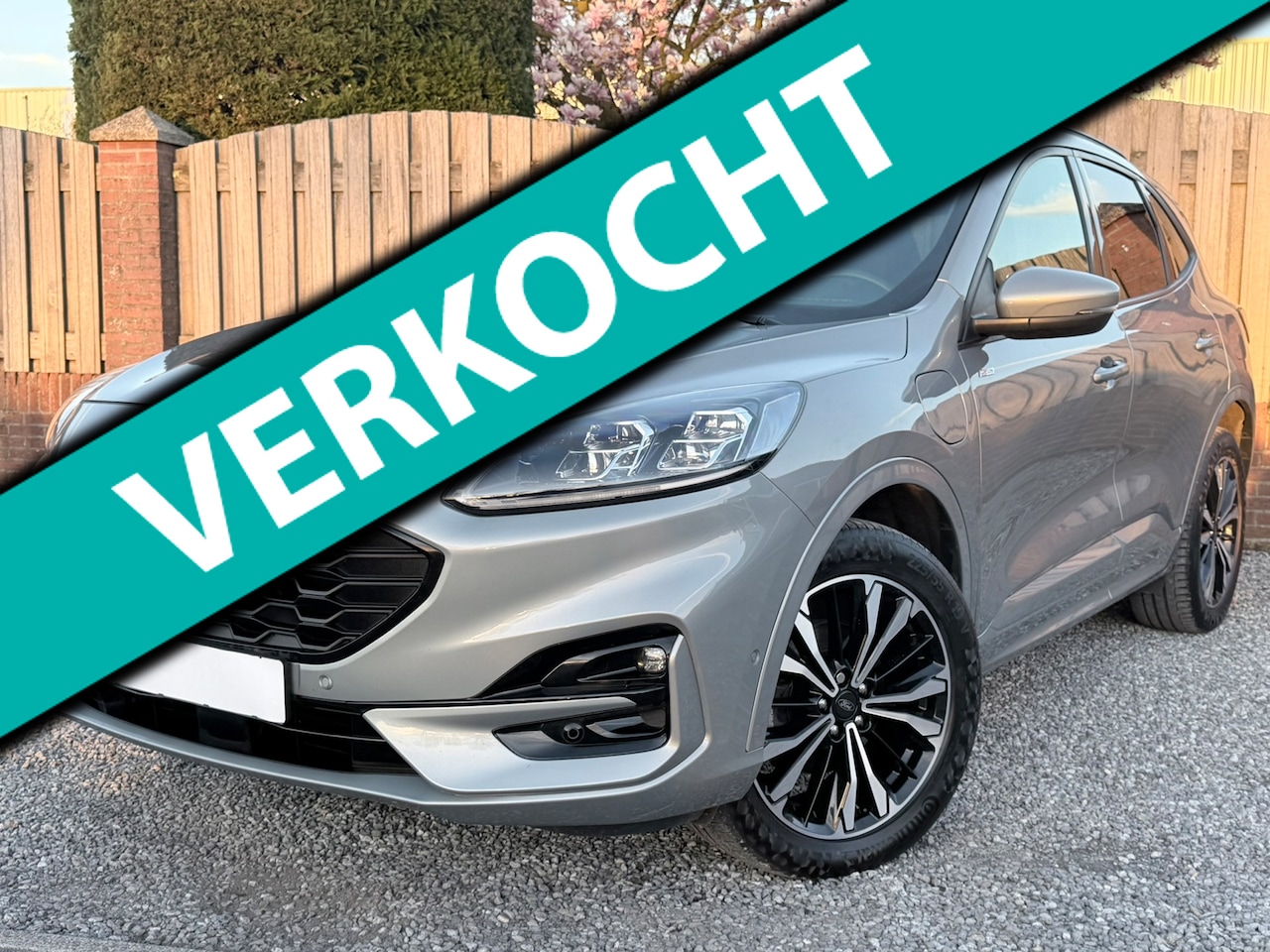 Ford Kuga - 2.5 PHEV ST-Line E-STOELEN NAVI ECC STOELSTUUR VERWARMING HALFLEER ALCANTARA - AutoWereld.nl