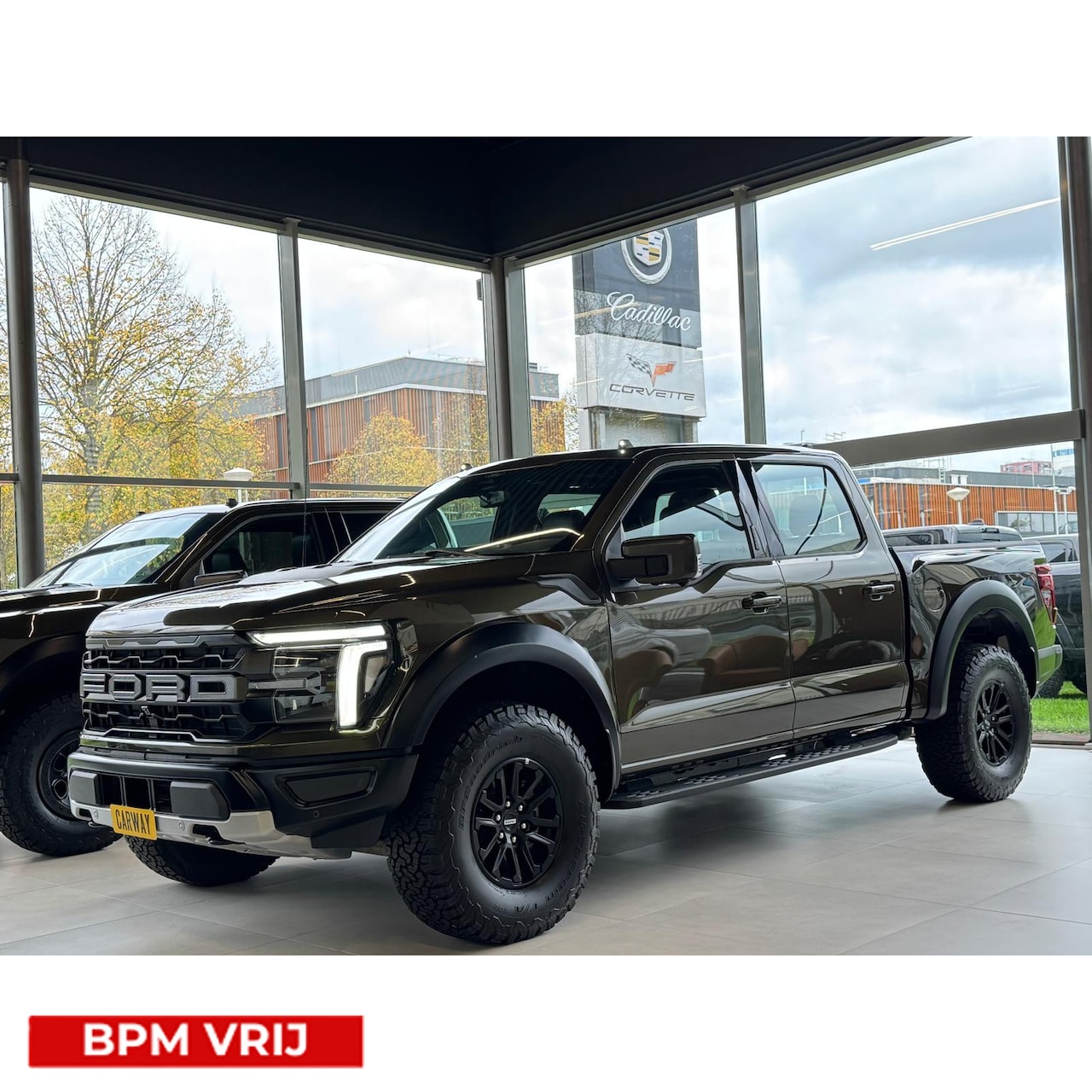 Ford F-150 Raptor - NEW MODEL!! - AutoWereld.nl