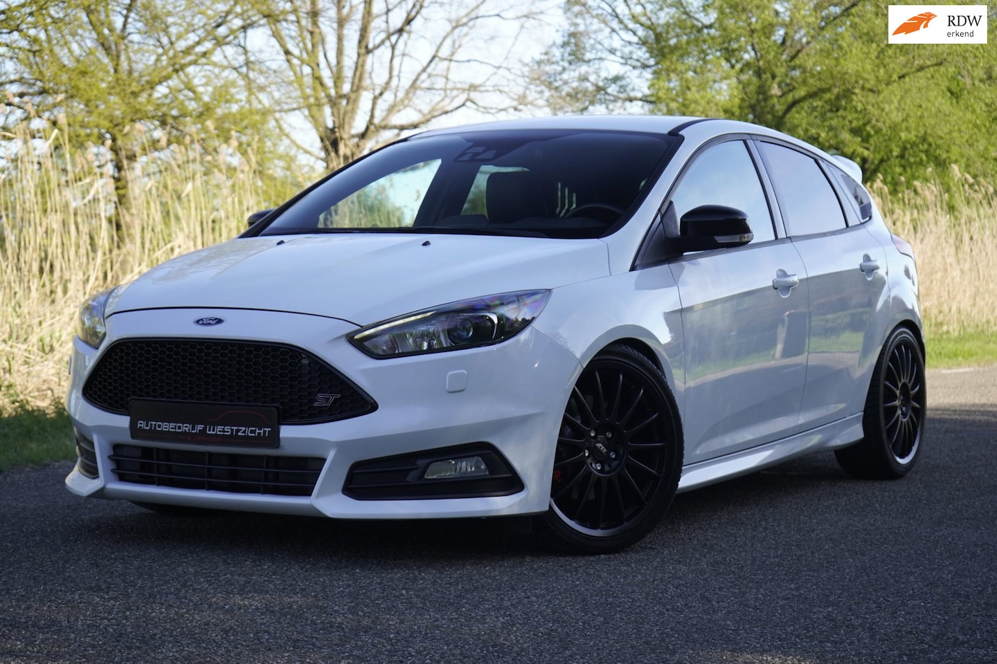 Ford Focus - 2.0 ST-3 2.0 ST-3 250pk, Leder, Recaro, ST schroefset, 19" - AutoWereld.nl
