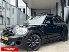 MINI Countryman - 1.5 Cooper Business Edition | LEDER | CARPLAY | CRUISE CONTROL | CLIMATE CONTROL | STOELVE