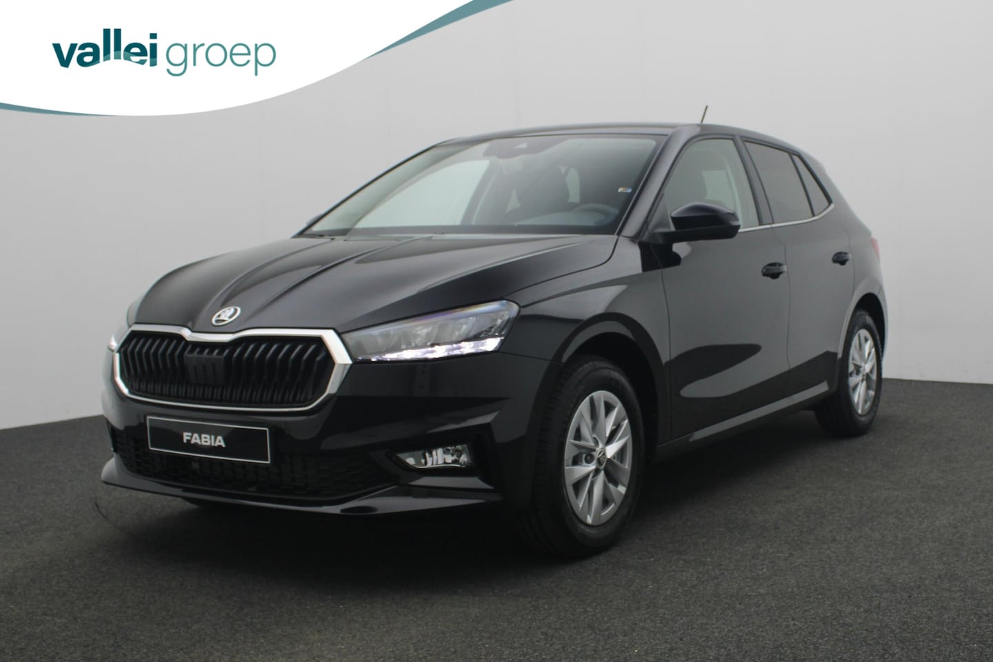 Skoda Fabia - Business Edition 1.0 TSI 95 pk - AutoWereld.nl