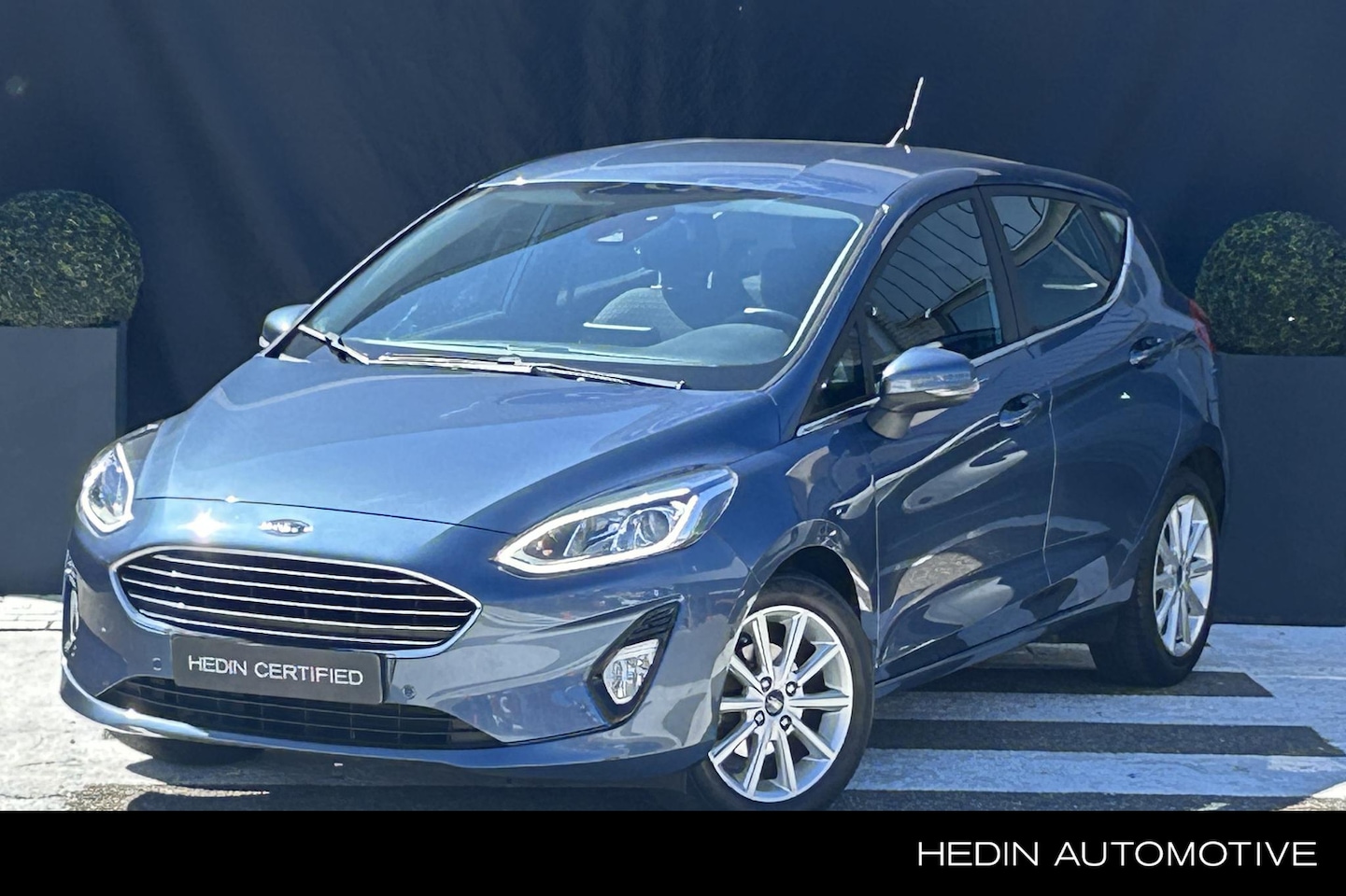 Ford Fiesta - 1.0 EcoBoost Titanium | Navigatie | Driver ass Pack - AutoWereld.nl