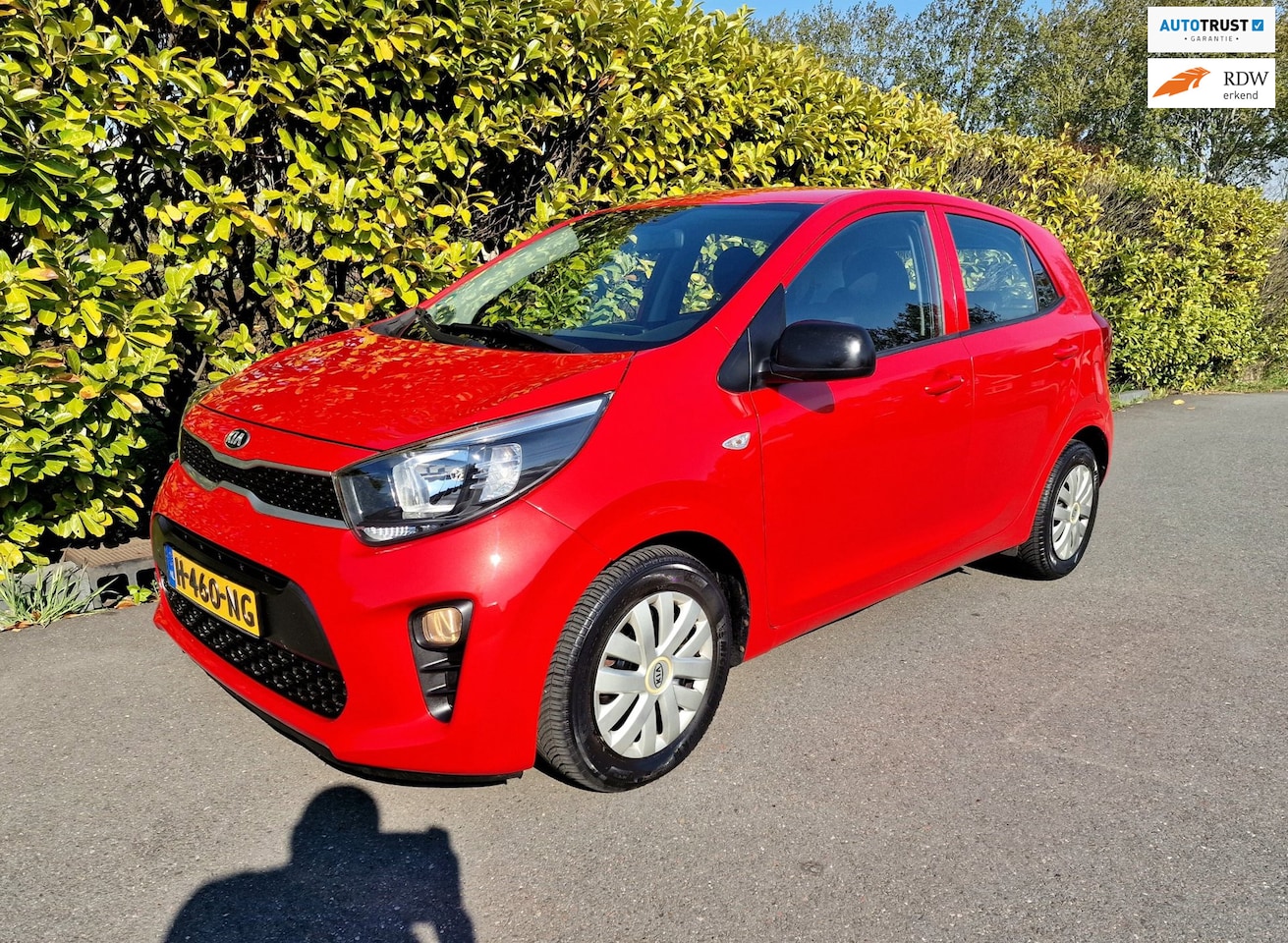 Kia Picanto - 1.0 CVVT Airco Nw banden Gr Beurt - AutoWereld.nl