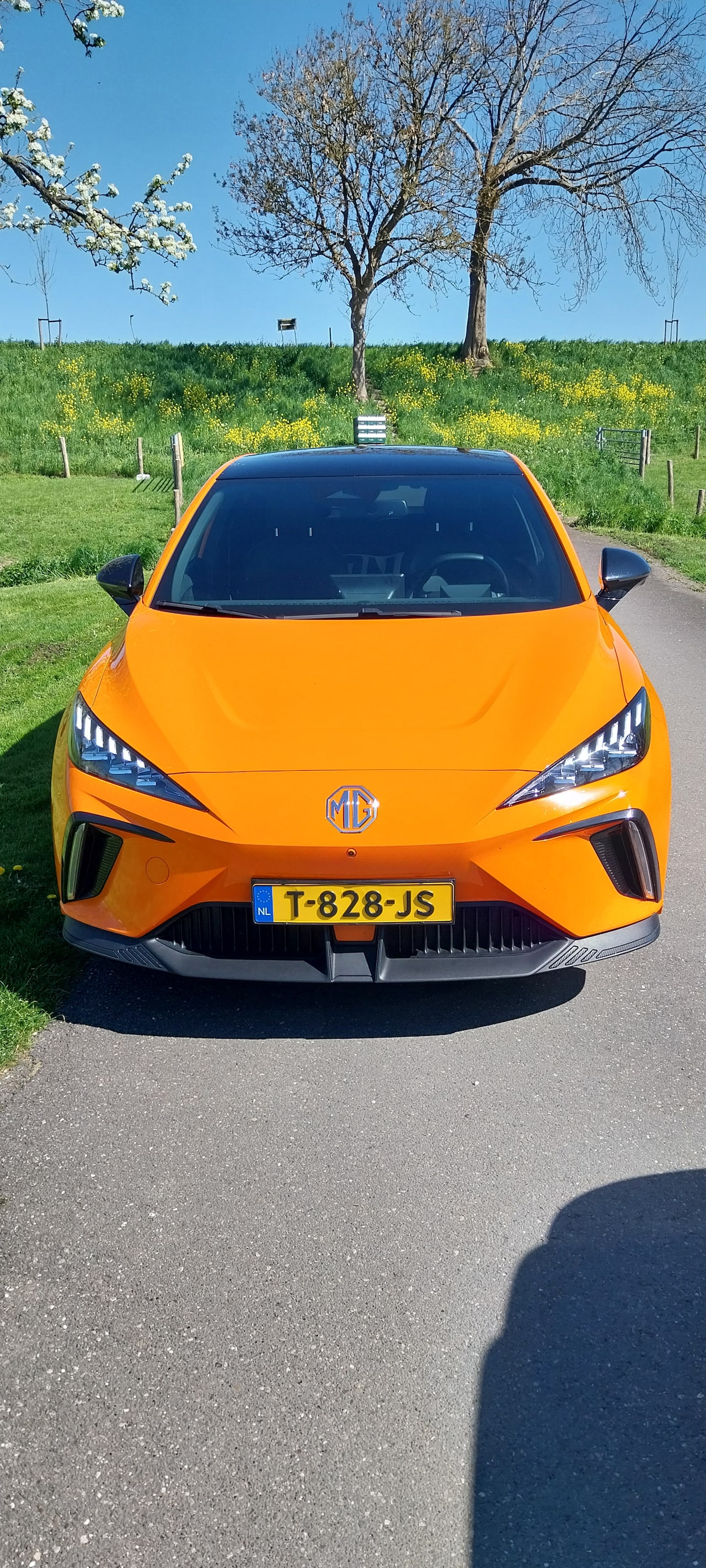 MG MG4 - Luxury 64kWh - AutoWereld.nl