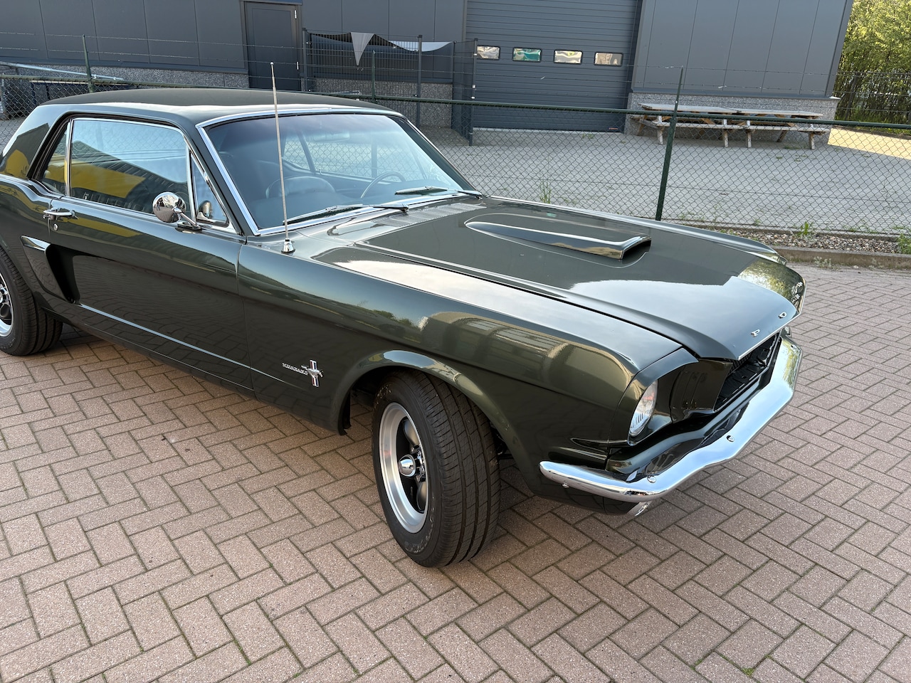 Ford Mustang - Coupe V8 289 Dark Jade Green - AutoWereld.nl