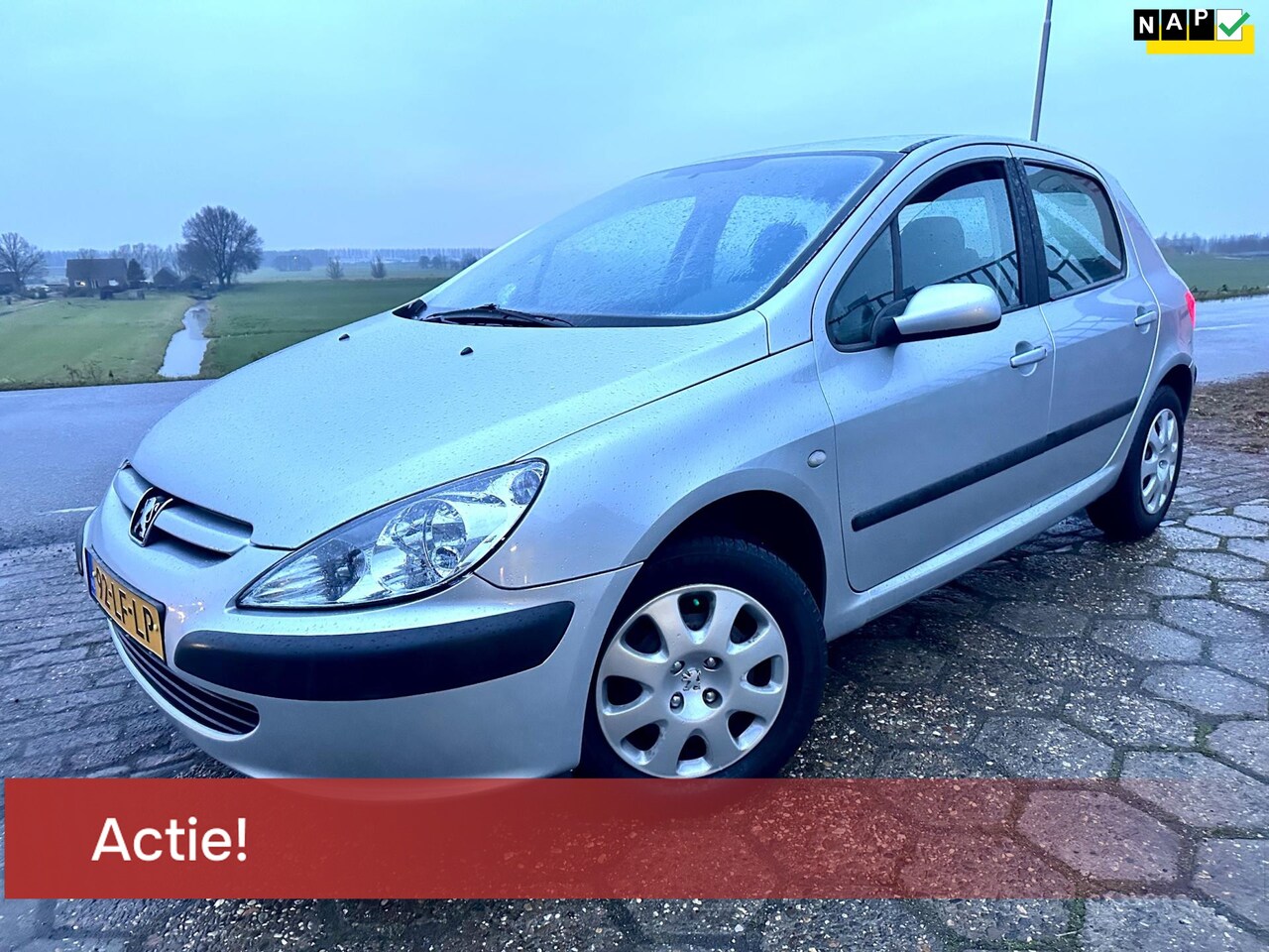 Peugeot 307 - 1.6-16V XS NAP 5DRS AIRCO NIEUWE APK ELEK.RAMEN 1E EIGENAAR - AutoWereld.nl