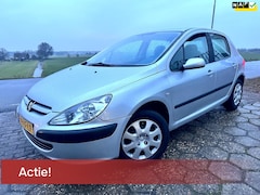 Peugeot 307 - 1.6-16V XS NAP 5DRS AIRCO NIEUWE APK ELEK.RAMEN 1E EIGENAAR