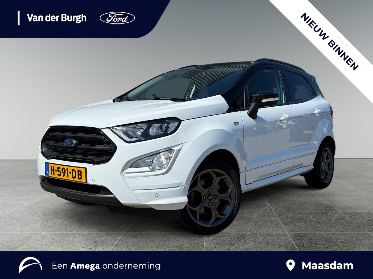 Ford EcoSport - 1.0 EcoBoost ST-Line | Achteruitrijcamera | Trekhaak | Half-leder - AutoWereld.nl