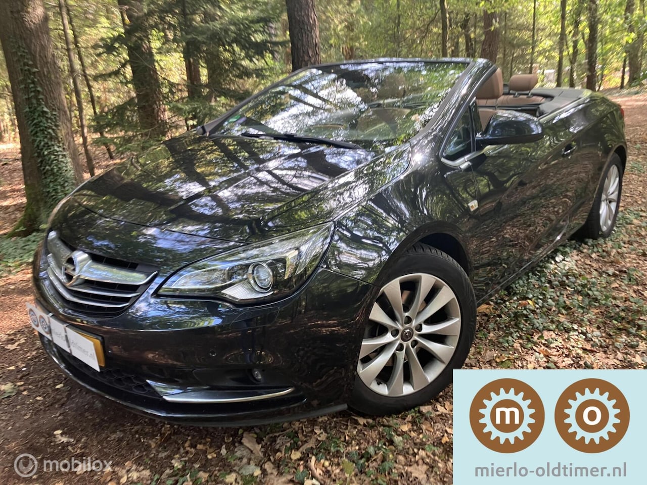 Opel Cascada - 1.6 Turbo Cosmo 1.6 Turbo Cosmo, 2e eigenaar, VOL ! - AutoWereld.nl
