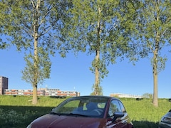 Fiat 500 C - 1.2 Cabrio | Airco | Leder | PDC | Nieuwe APK