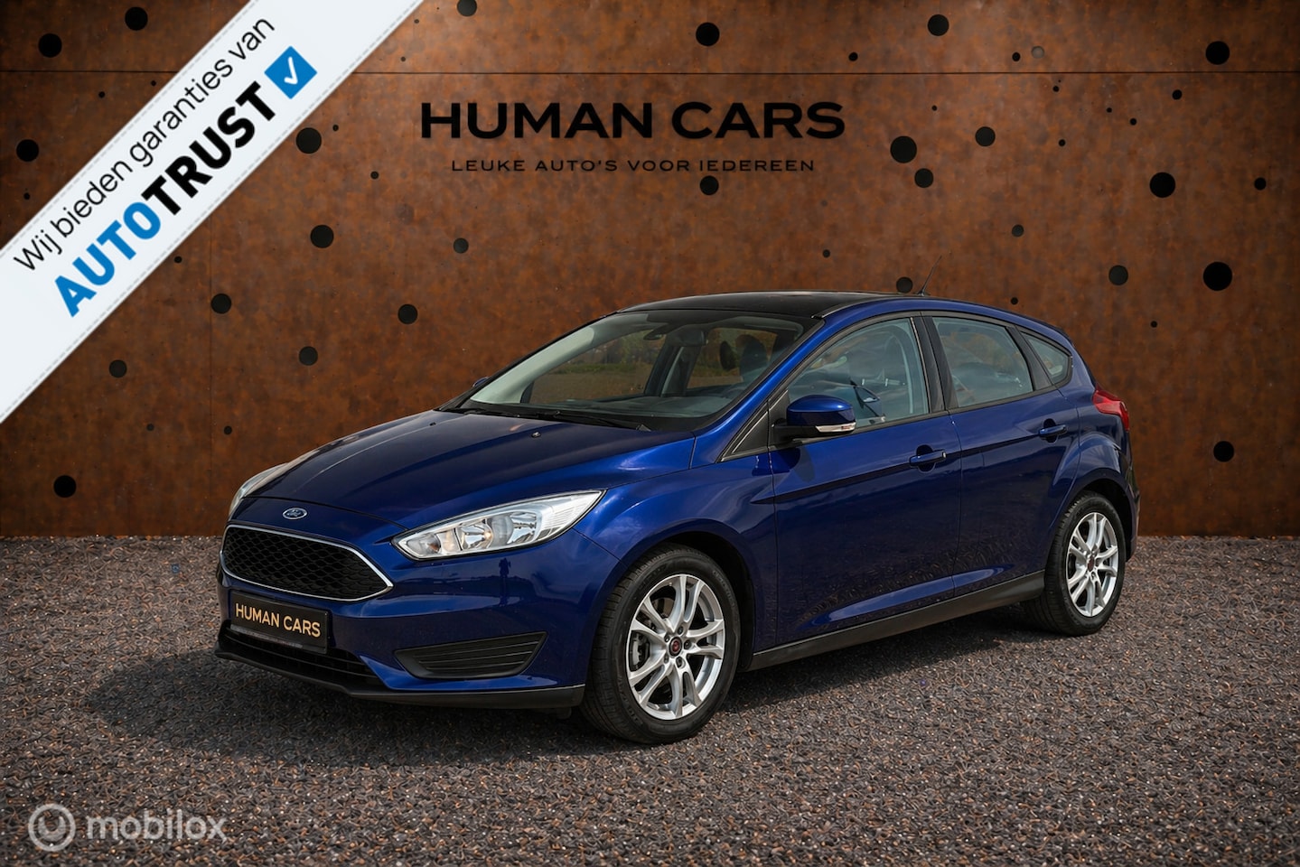 Ford Focus - 1.0 Ambiente 1.0 Ambiente, stoelverwarming, 2015 airco 5 deurs - AutoWereld.nl