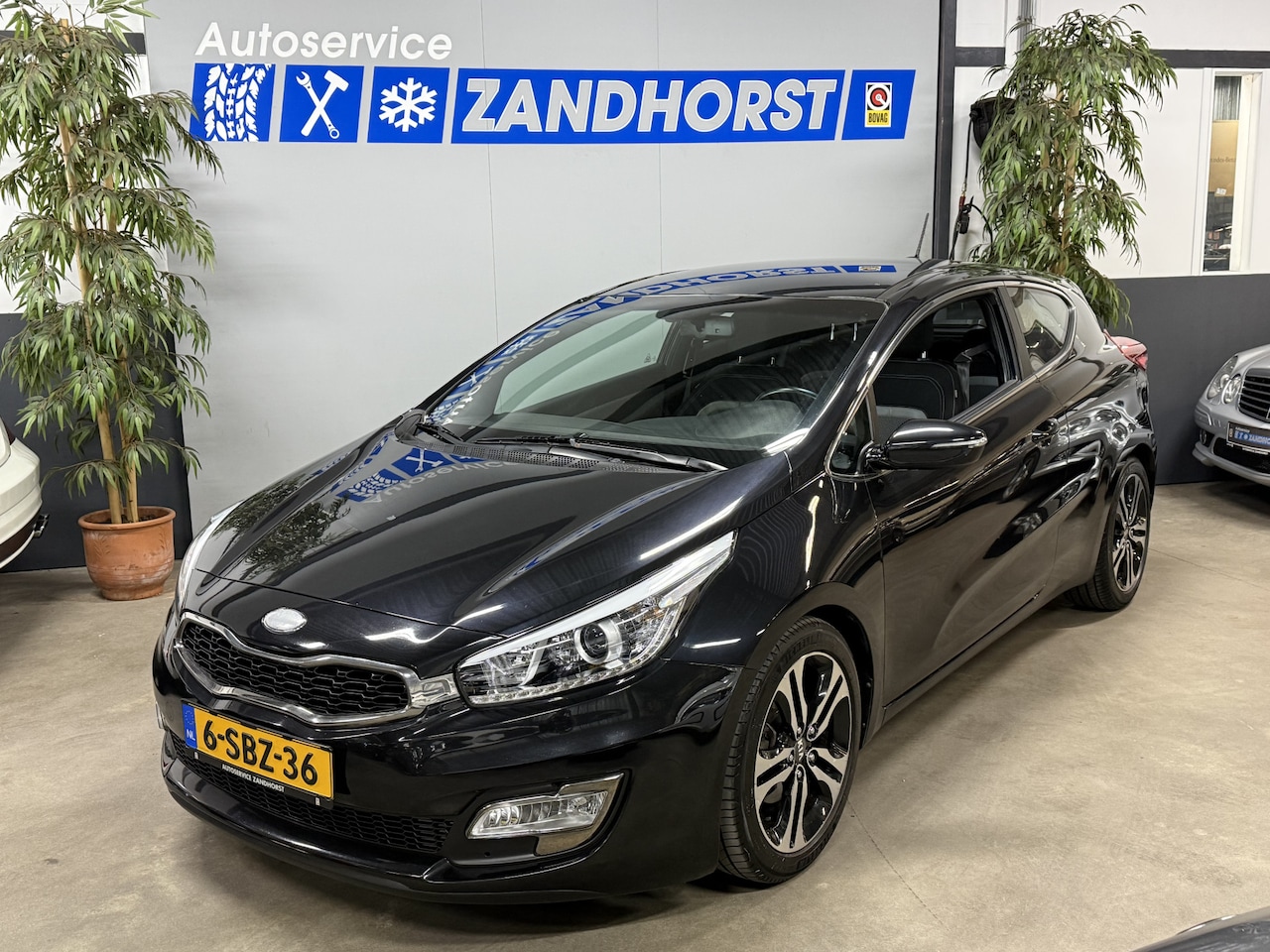 Kia Pro cee'd - 1.6 GDI Business Pack /Ecc // Cruise // 17 inch LM velgen - AutoWereld.nl