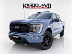 Ford F150 - F-150 PLATINUM V6 |NIGHT EDITION| incl. Tonneau cover in carroseriekleur | LPG | Trekhaak