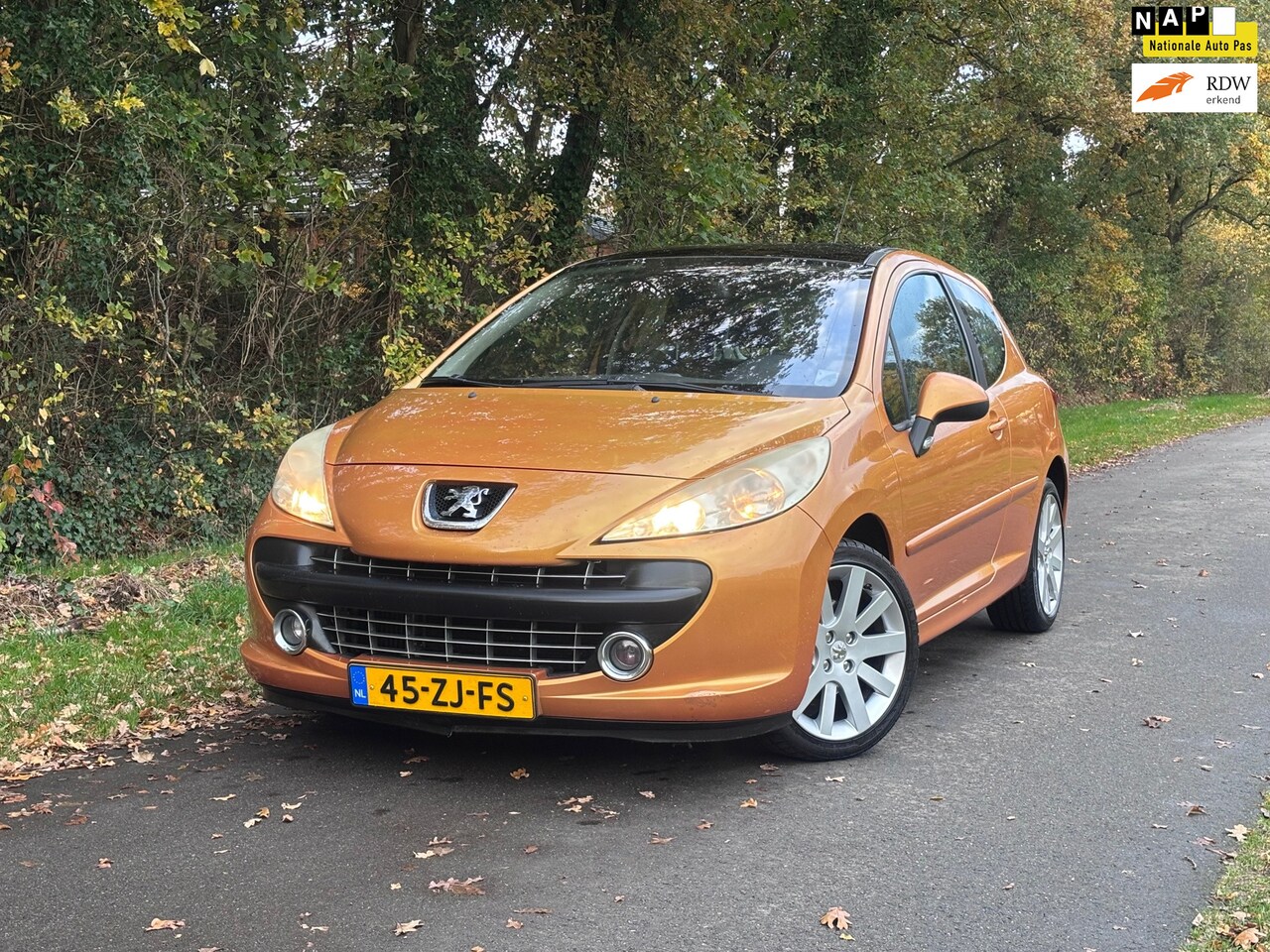 Peugeot 207 - 1.6-16V T Féline | Airco + Cruise Nu € 1.750,-!!! - AutoWereld.nl