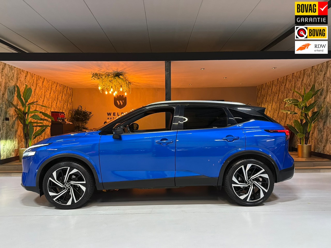 Nissan Qashqai - 1.3 MHEV Tekna Plus Garantie Pano Leder Memory Head-Up Bose ACC 360 Camera StuurVW StoelVW - AutoWereld.nl