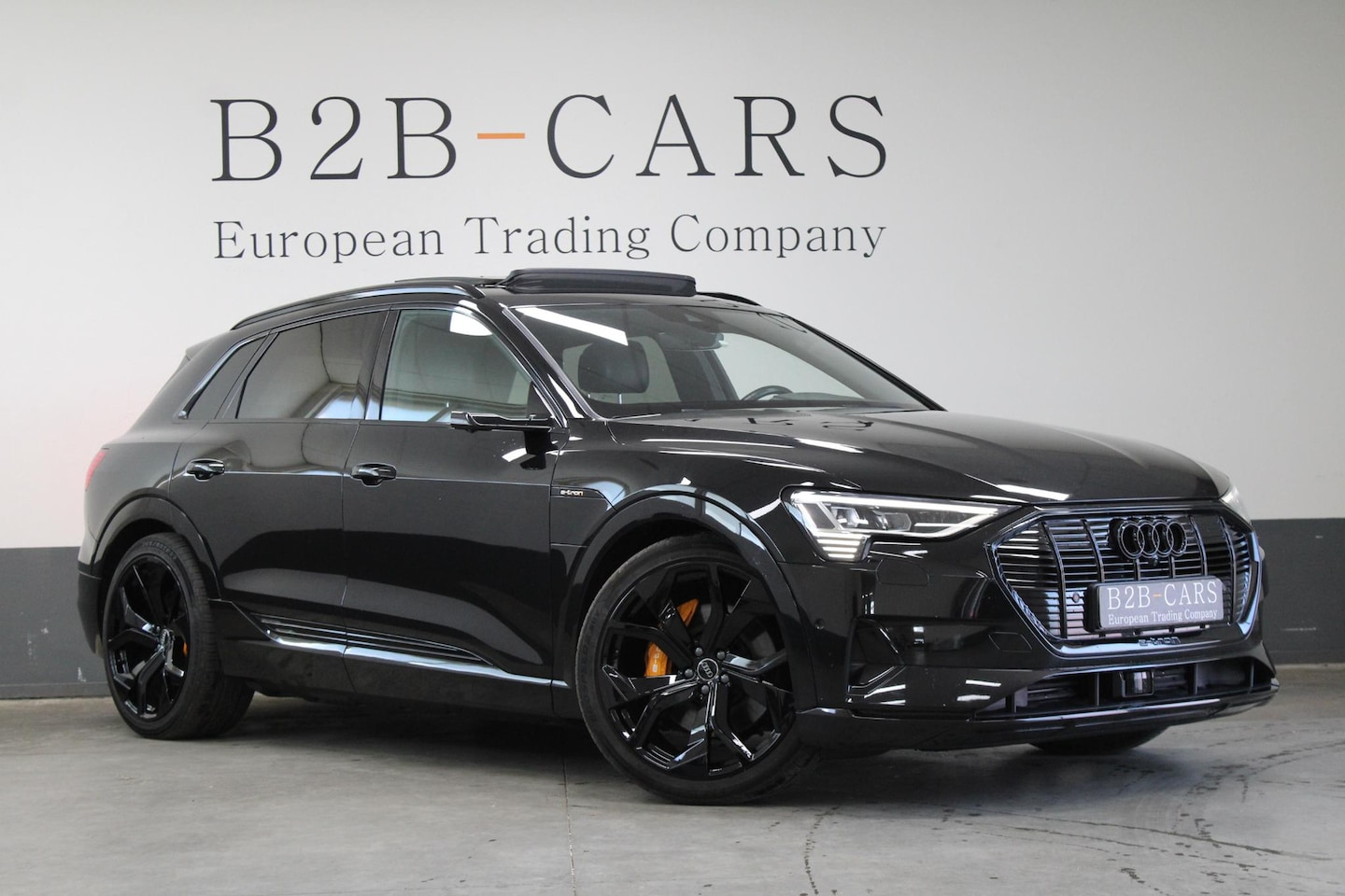 Audi e-tron - e-tron 55 quattro advanced 95 kWh Panorama - Leer - Trekhaak - AutoWereld.nl
