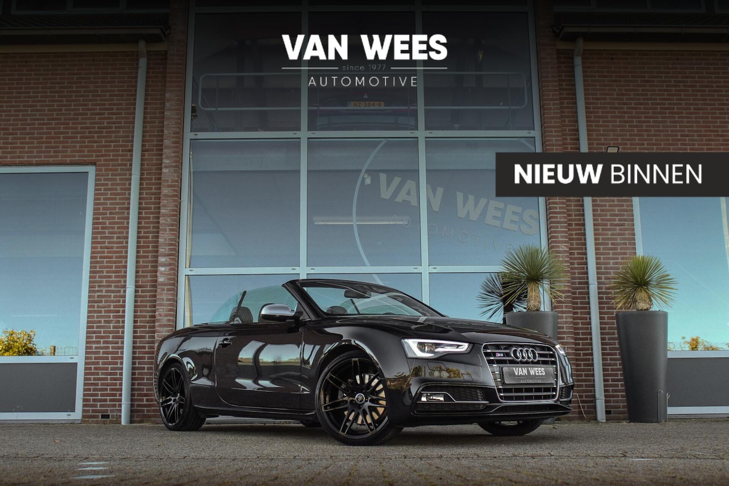 Audi S5 - 3.0 TFSI Cabriolet quattro Pro Line | 2e eigenaar | B&O audio | Nekverwarming | Stoelventi - AutoWereld.nl
