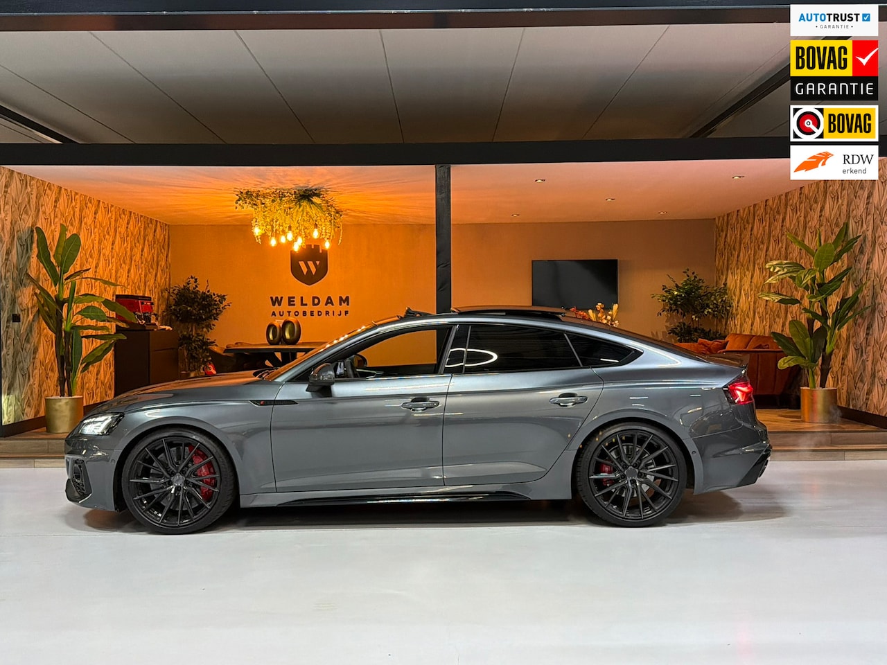 Audi A5 Sportback - 2.9 TFSI RS 5 quattro Garantie 524PK Pano Keramisch B&O RS Stoelen Head-up StuurVW Memory - AutoWereld.nl
