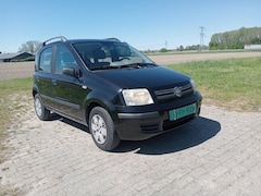 Fiat Panda - 1.2 Navigator