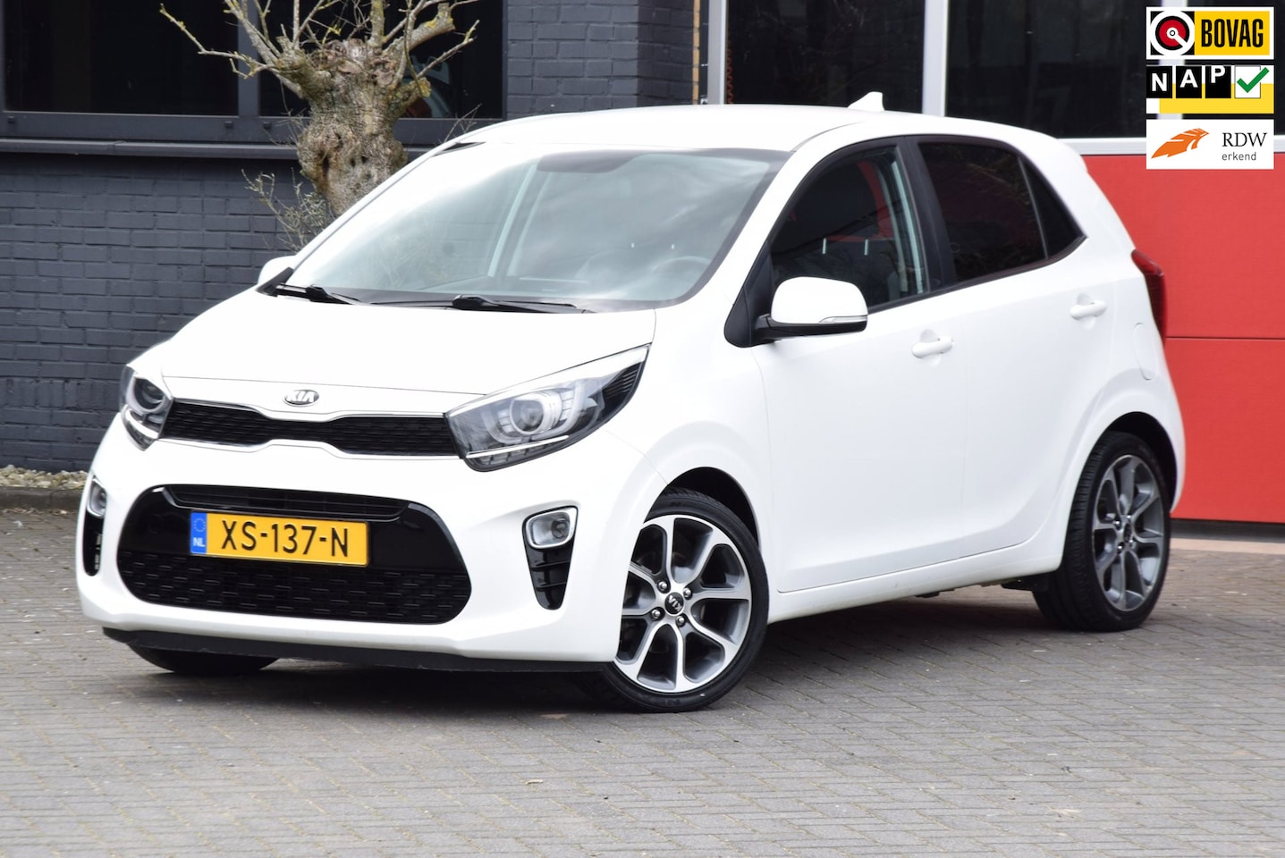 Kia Picanto - 1.0 CVVT Design Edition 2019 Navigator Navigatie Airco Cruise control Carplay - AutoWereld.nl