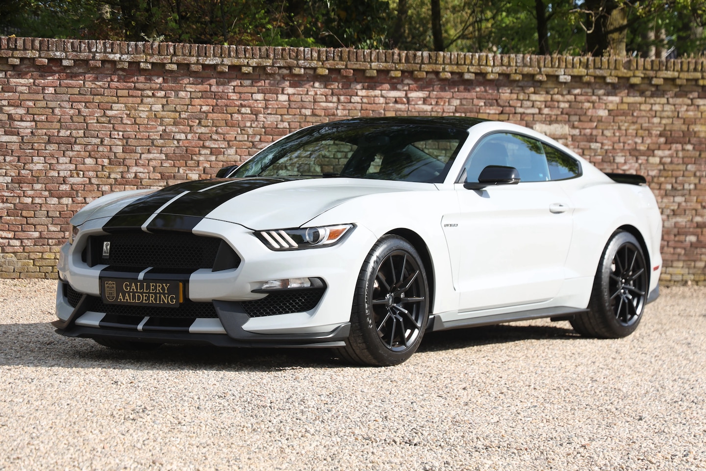 Ford Mustang - Shelby GT350 "Avalanche" Previously owned by an enthusiast - A neat GT350 Shelby, Livery i - AutoWereld.nl