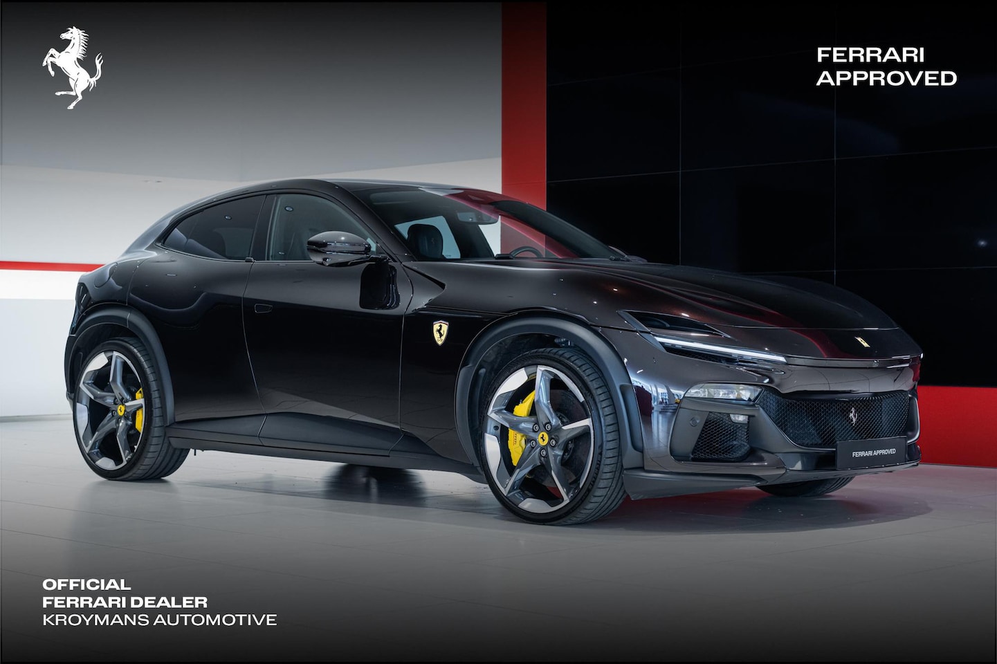 Ferrari Purosangue - - Kroymans Ferrari* - AutoWereld.nl