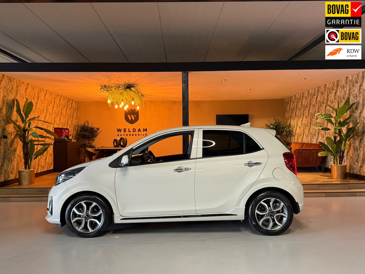 Kia Picanto - 1.2 GT-Line Garantie Carplay Camera Leder StuurVW StoelVW Keyless Cruise Navi Clima Led Da - AutoWereld.nl