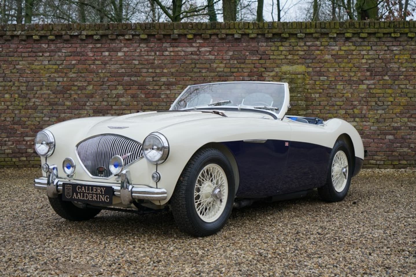 Austin Healey - 100/4 BN1 PRICE REDUCTION! 100M-spec, Denis Welch cilinder head, fully restored condition, - AutoWereld.nl