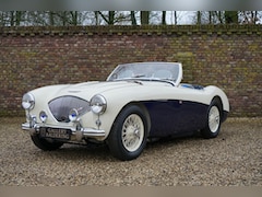 Austin Healey - 100/4 BN1 PRICE REDUCTION 100M-spec, Denis Welch cilinder head, fully restored condition,