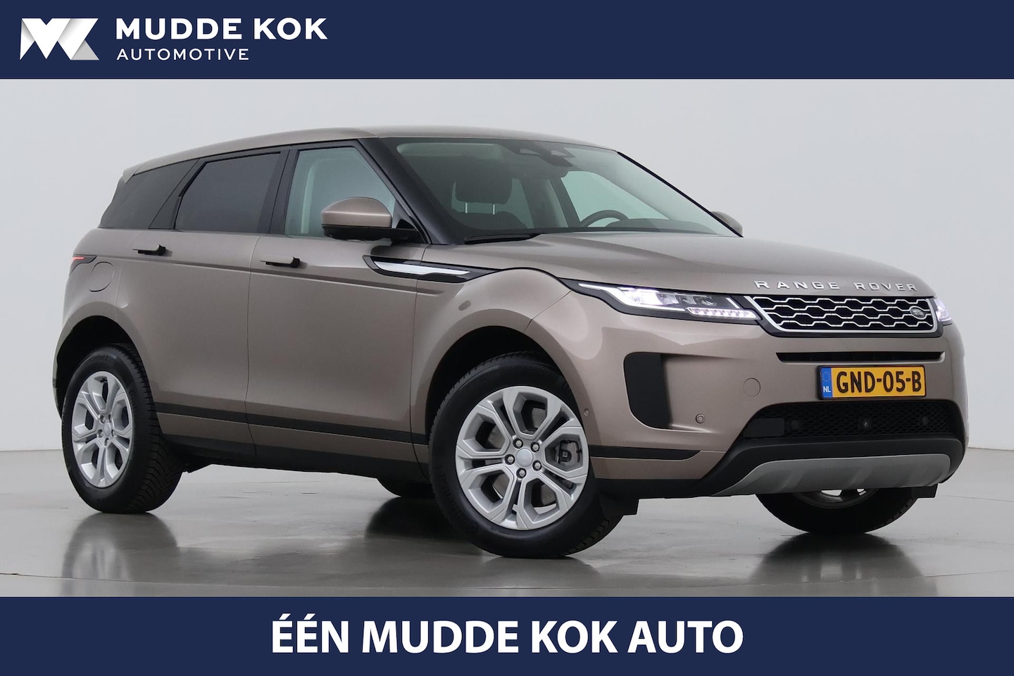 Land Rover Range Rover Evoque - P160 S | Trekhaak | 360° Camera | Getint Glas - AutoWereld.nl