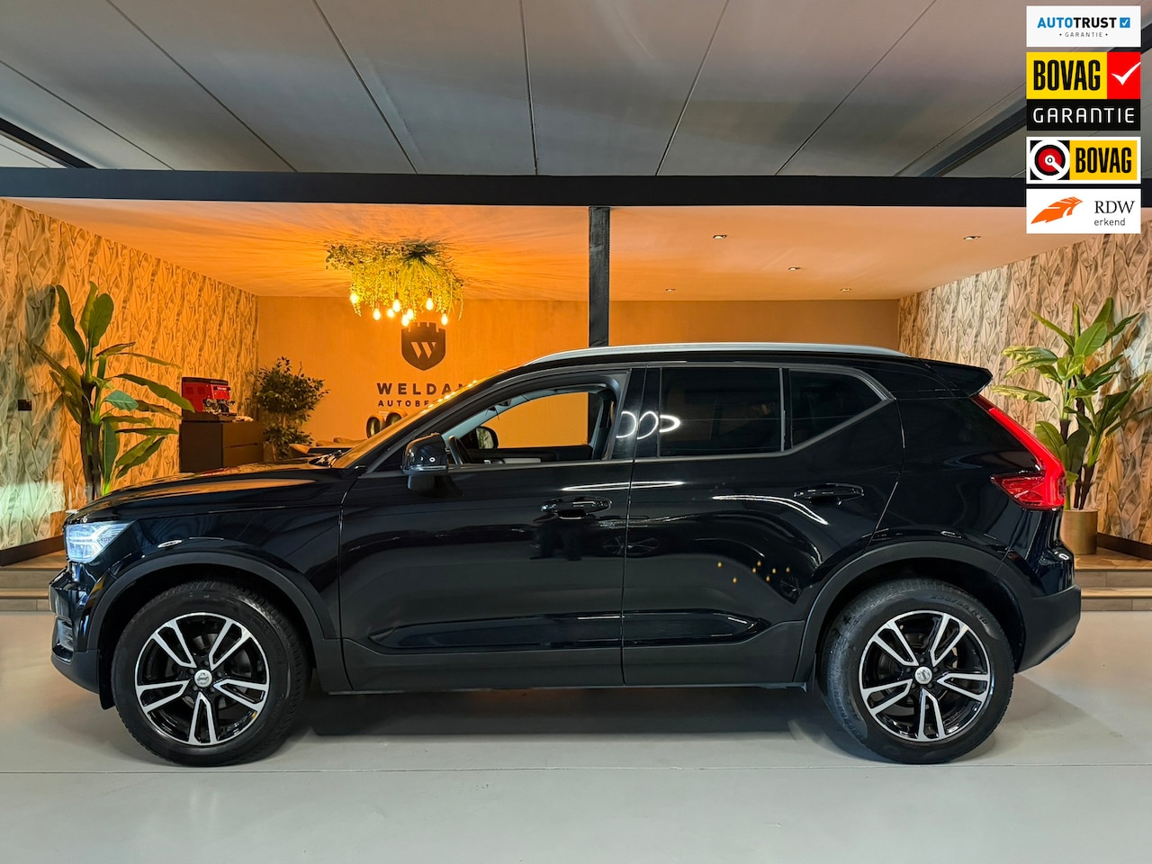 Volvo XC40 - 1.5 T3 Momentum Pro Garantie Camera Adaptieve Cruise Keyless Virtueel Dash Navi Clima Led - AutoWereld.nl