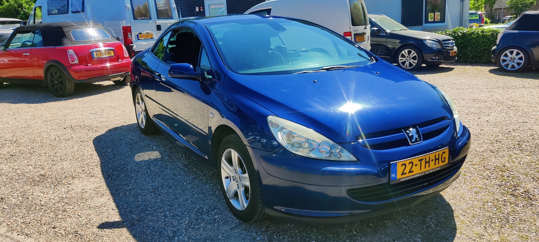 Peugeot 307 CC - 2.0-16V Licht metalen velgen, open dak elektrisch.