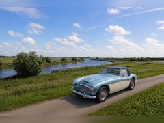 Austin Healey - 3000 MK II BT7 Tri-Carb