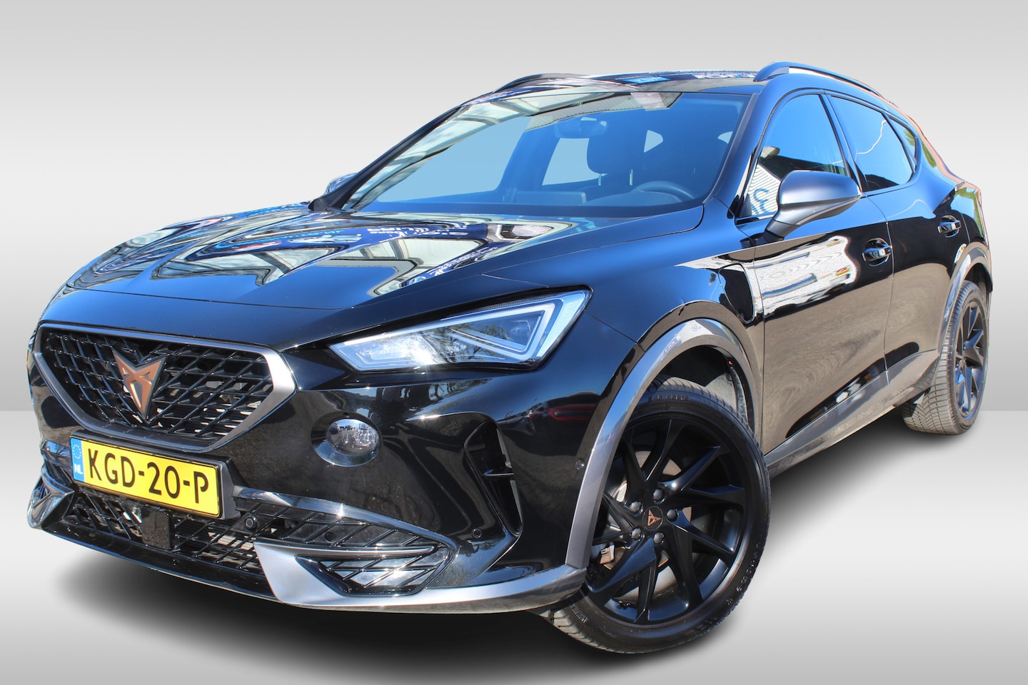 CUPRA Formentor - 1.4 e-Hybrid Business All season Banden l Stoel- en Stuurverwarming l parkeren Assist l Ro - AutoWereld.nl