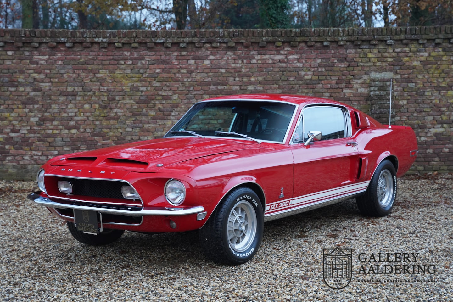 Ford Mustang - Shelby GT350 An icon among classic American muscle cars, SAAC Shelby registry confirmed au - AutoWereld.nl