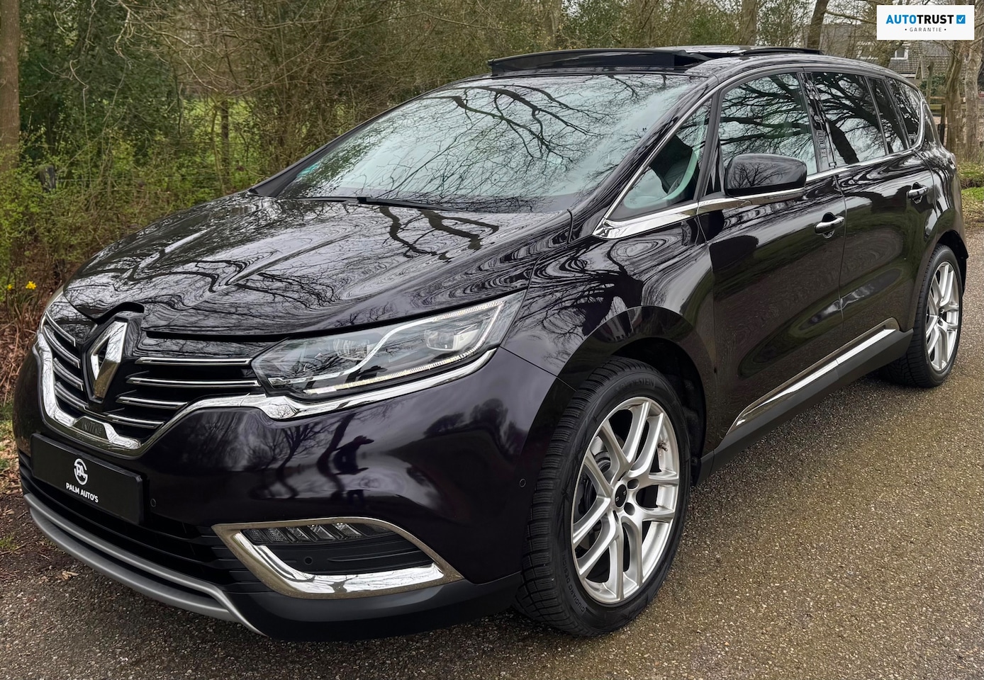 Renault Espace - 1.6 TCe Initiale Paris 7p. PANO TREKHAAK LED 200PK - AutoWereld.nl