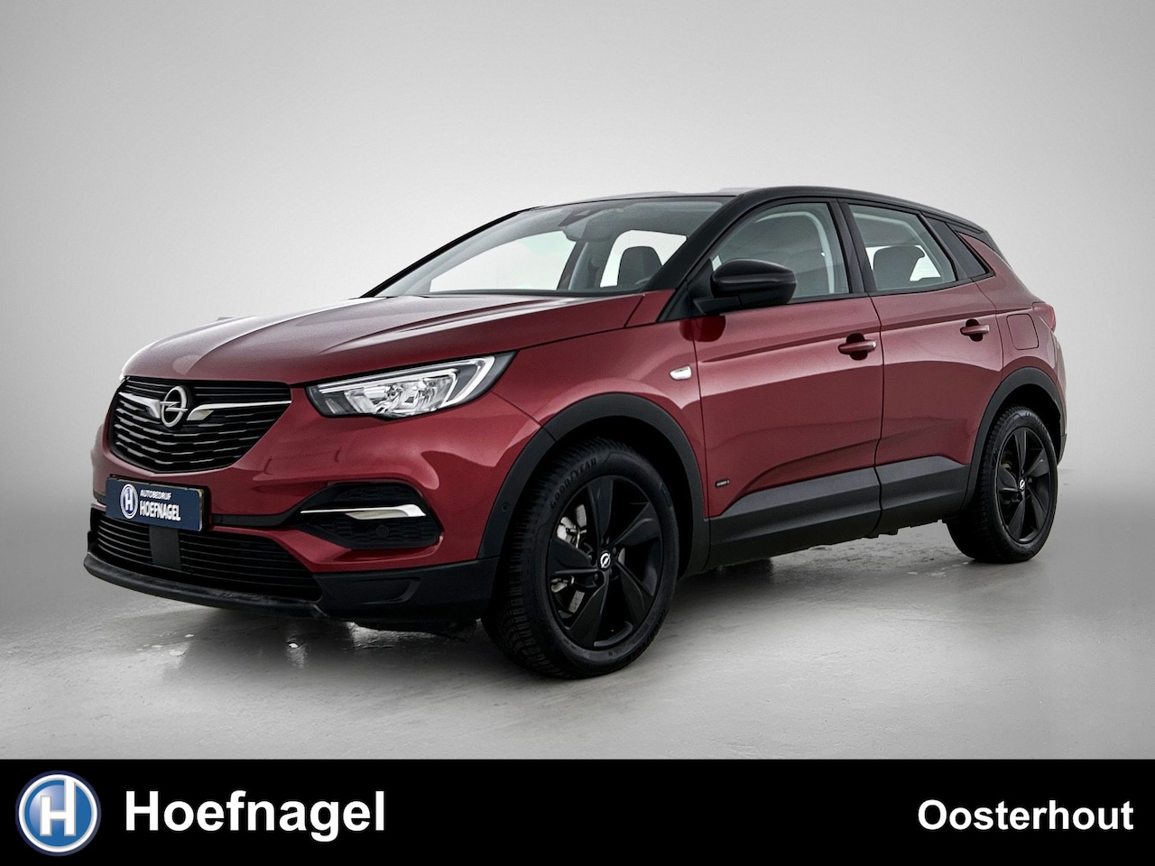 Opel Grandland X - 1.6 Turbo Hybrid4 Business Elegance | Automaat | Cruise control | Stoelverwarming | Parkee - AutoWereld.nl