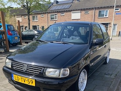 Volkswagen Polo - 1.6