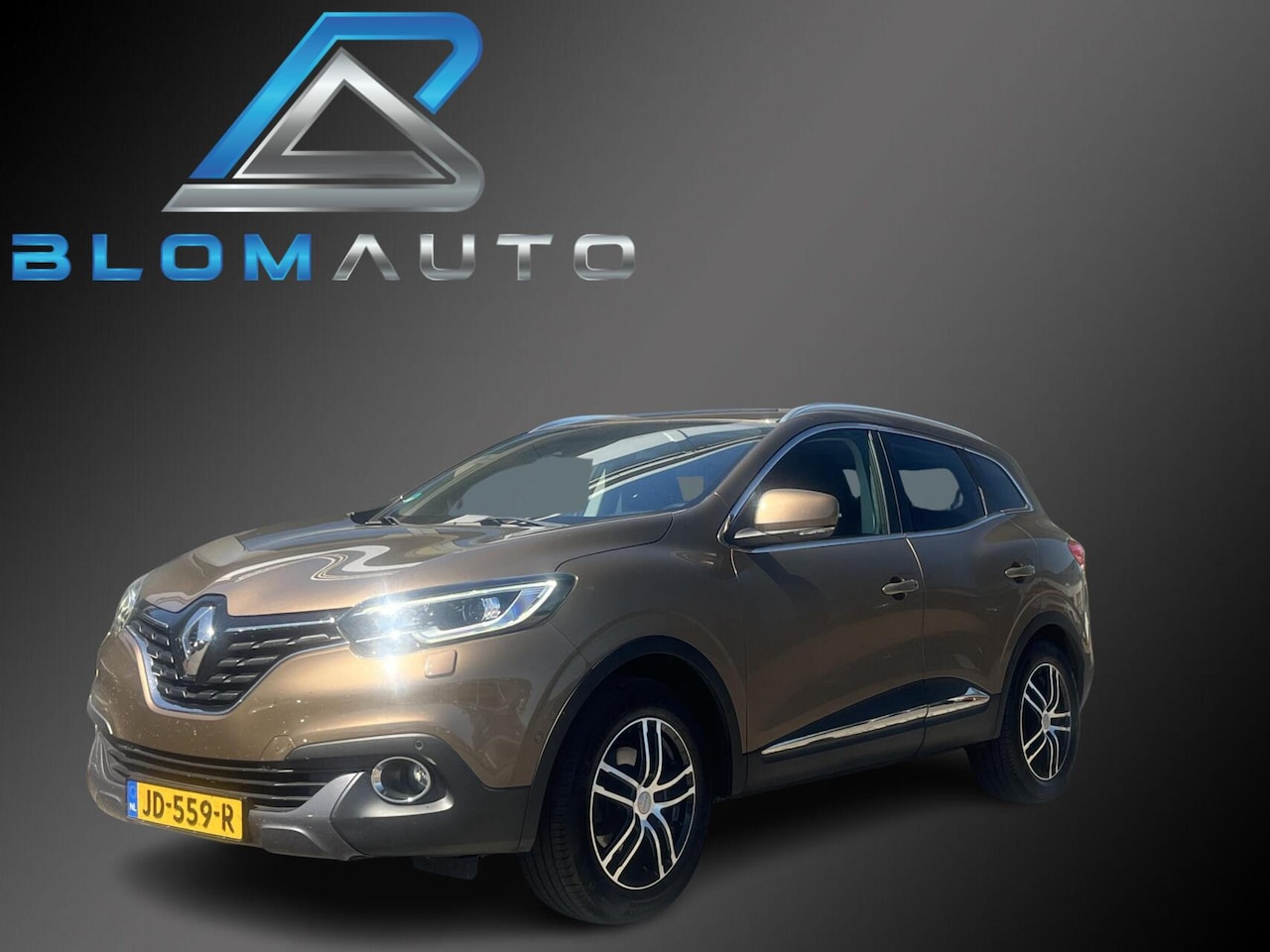 Renault Kadjar - TCe 130PK Intens TREKHAAK+STOELVERW+KEYLESS - AutoWereld.nl